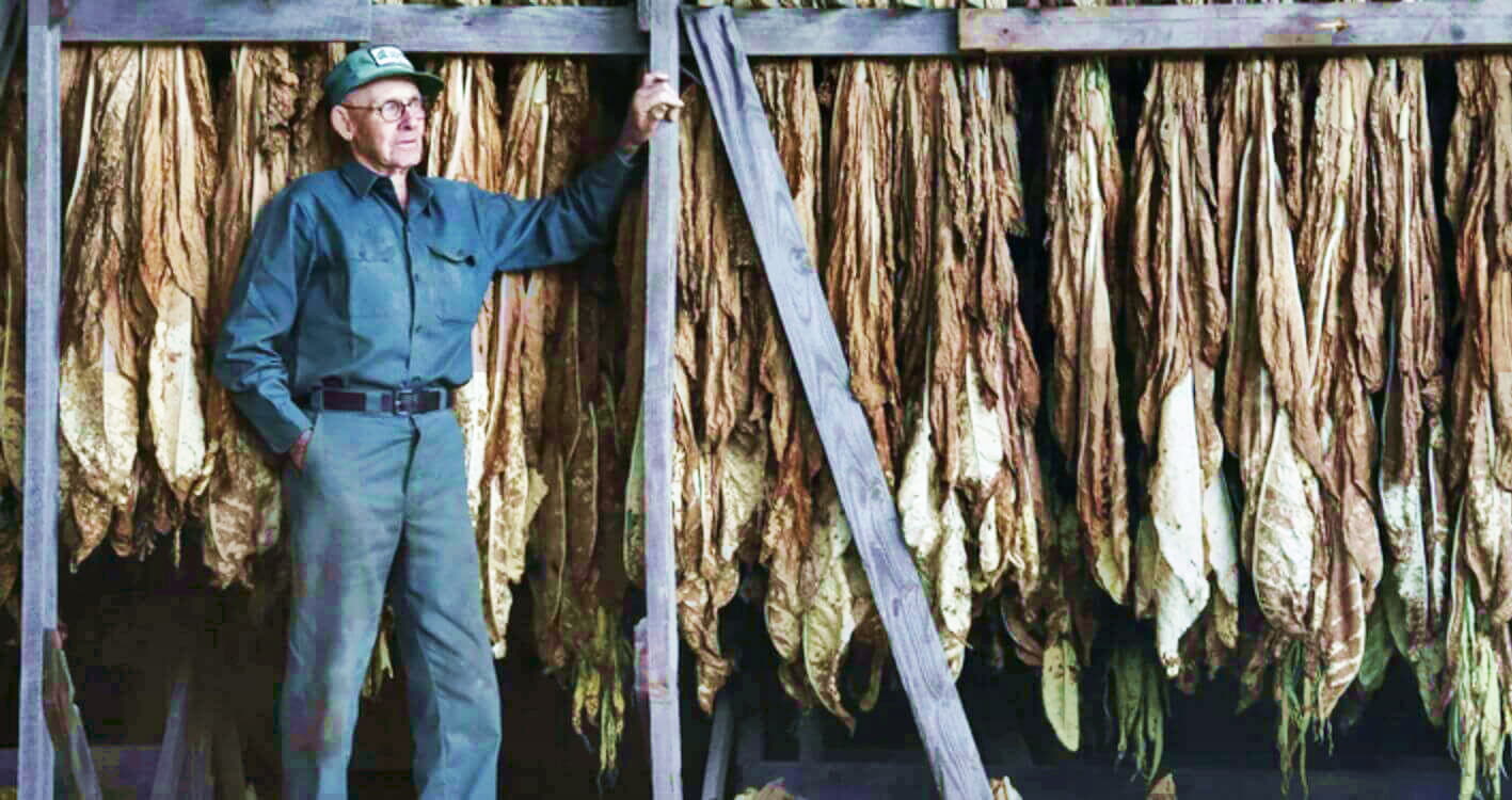 Крупный план высушенных листьев табака Браун Кентукки, подчеркивающий подлинность.